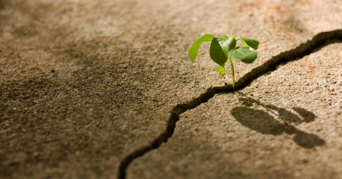 Strengthen Professional Resilience | Genpact