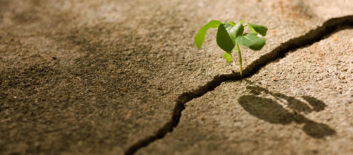 Adapt and Rise: Building Resilience for the Future | Genpact