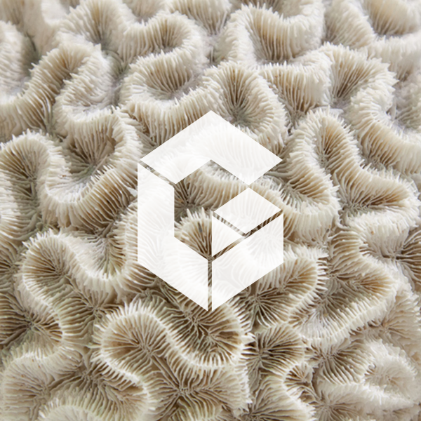 professional-resilience-finance-and-accounting-professional-logo.png