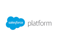 salesforce-platform.jpg
