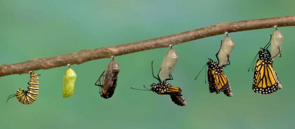insight-hero-banking-on-change-a-podcast-on-key-trends-changing-the-banking-landscape.jpg
