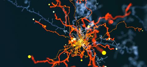 insight-hero-ai-360-research.jpg
